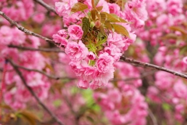 南通海安8线下个人借款平台一站式服务，轻松解决资金难题