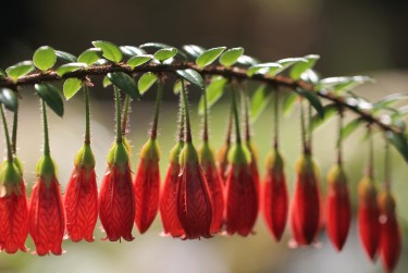 南通海安8零用贷短借：轻松解决临时资金需求