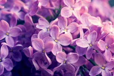 南通海安8企业急用钱贷款攻略：快速融资解燃眉之急